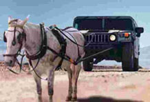 Mule Maintenance Image